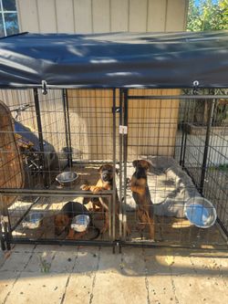 Dog kennel