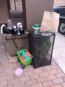 Chameleon set up