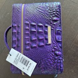 Purple Brahmin