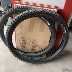 24 In Mountain Bike Tires