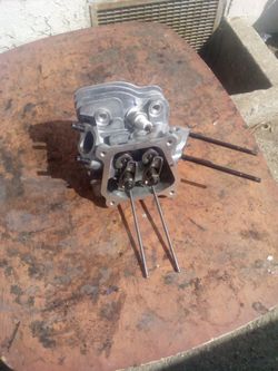 Predator stock head