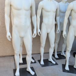 Mens Mannequin $150 Each