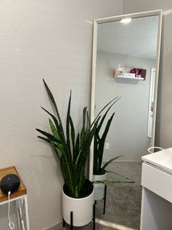 Long beige mirror