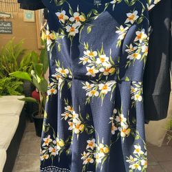 Shirts And Dresses