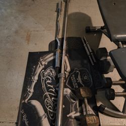 Olympic bench and curl Bar.