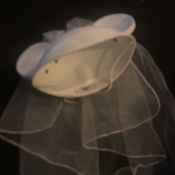 Happily Ever After Disney Hat 