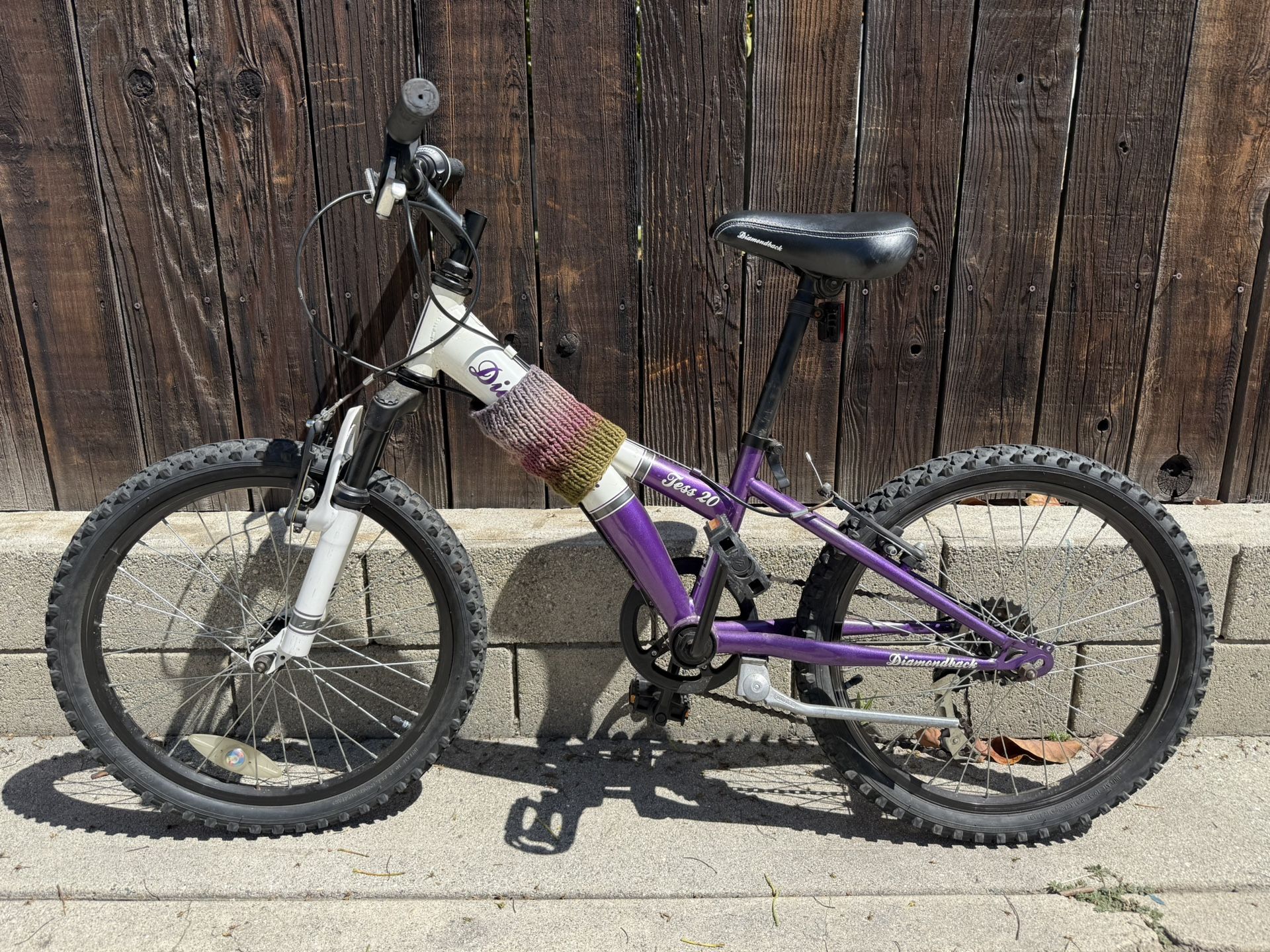 Diamond Back Tess 20 Girls Mountain Bike