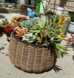 Succulent plantar 18” new planter