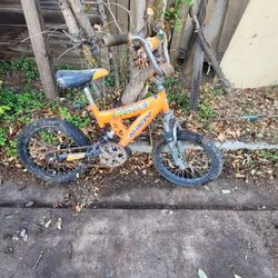Kid Bike 