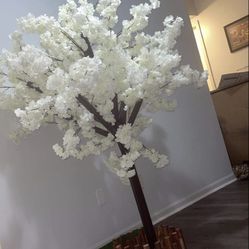 White Cherry Blossom Tree 