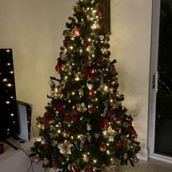 Christmas Tree + Lights