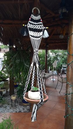 Plants holders different types and colors