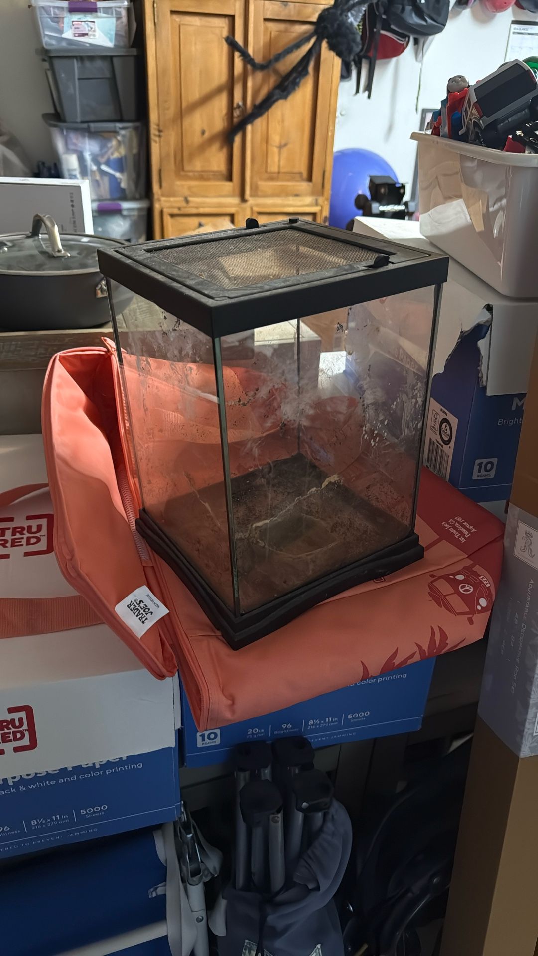 Tank- Reptile Tank