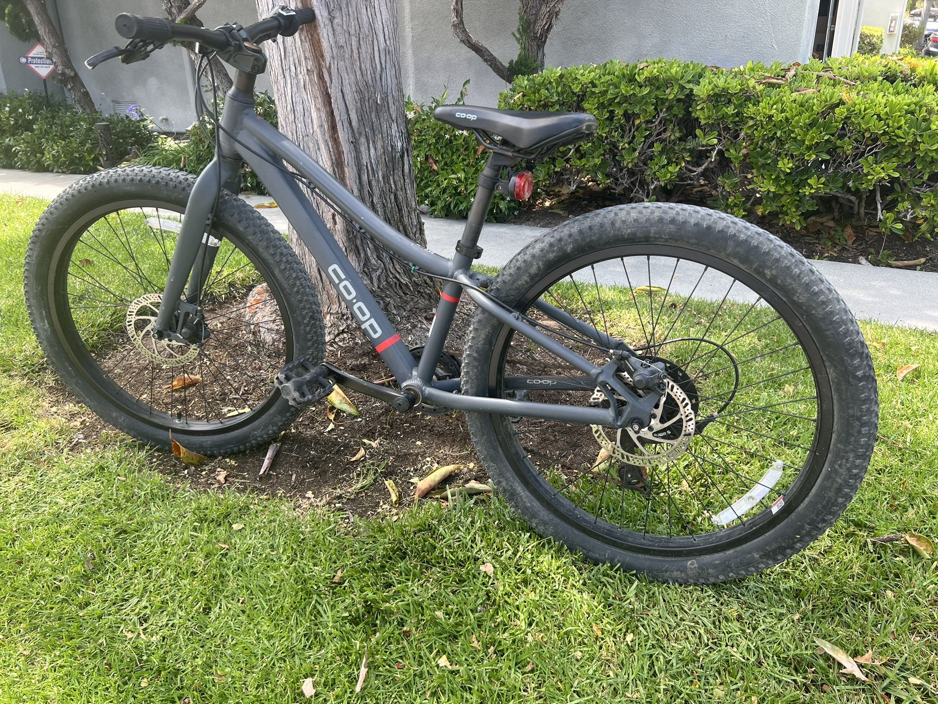 REI Kids Fat Tire Mountain Bike