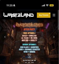 Wasteland wristband