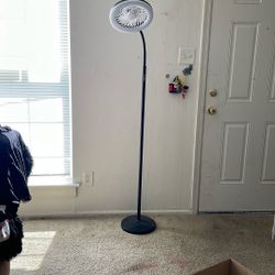 Light With Fan