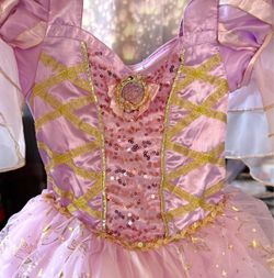 Rapunzel costume dress