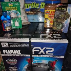 Whole Set Up For A Turtle 