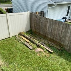 Free Fence Woods