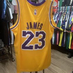 Los Angeles Lakers LEBRON JAMES 