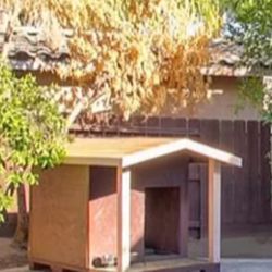 Dog House