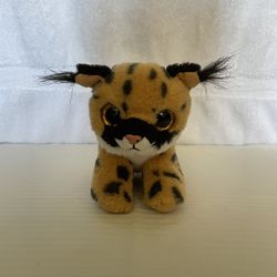 Small Cat “Larry”