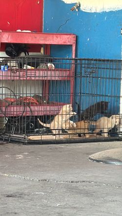 Its a dog crate offer up dont take this down.