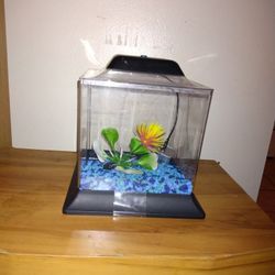 Small Square Shaped 🐟 Fish Tank. $5. 