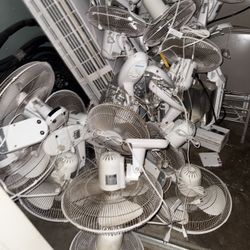 Oscillating Wall Fans