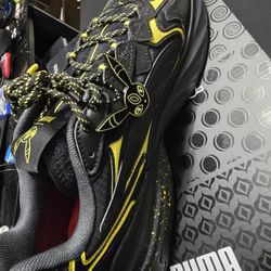 Pokemon Puma