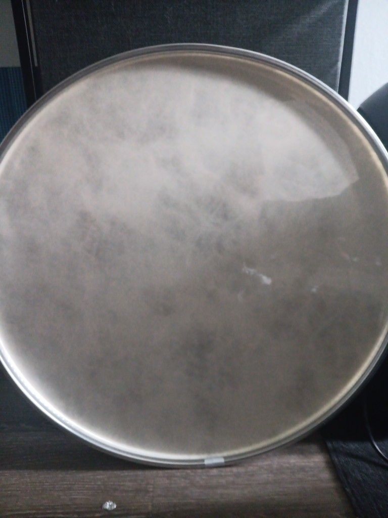 Bass Drum Head