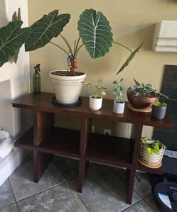 4 Wood Shelves and Plants