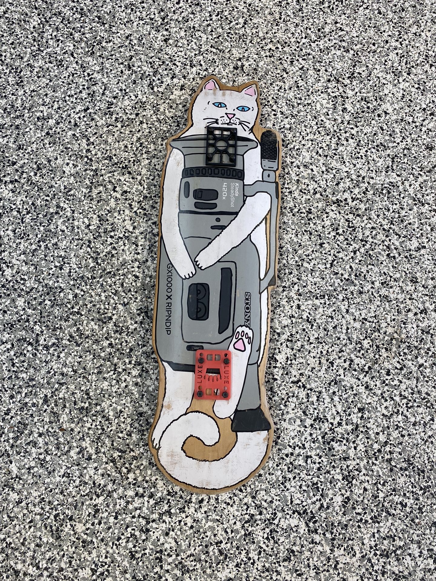 Cat Skateboard