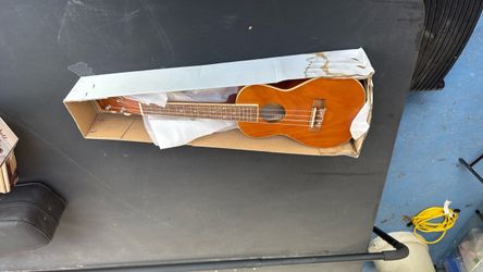 Ukulele new