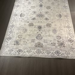 Area Rug & Lamp Deal