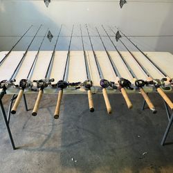 Bass Fishing Rods & Reels