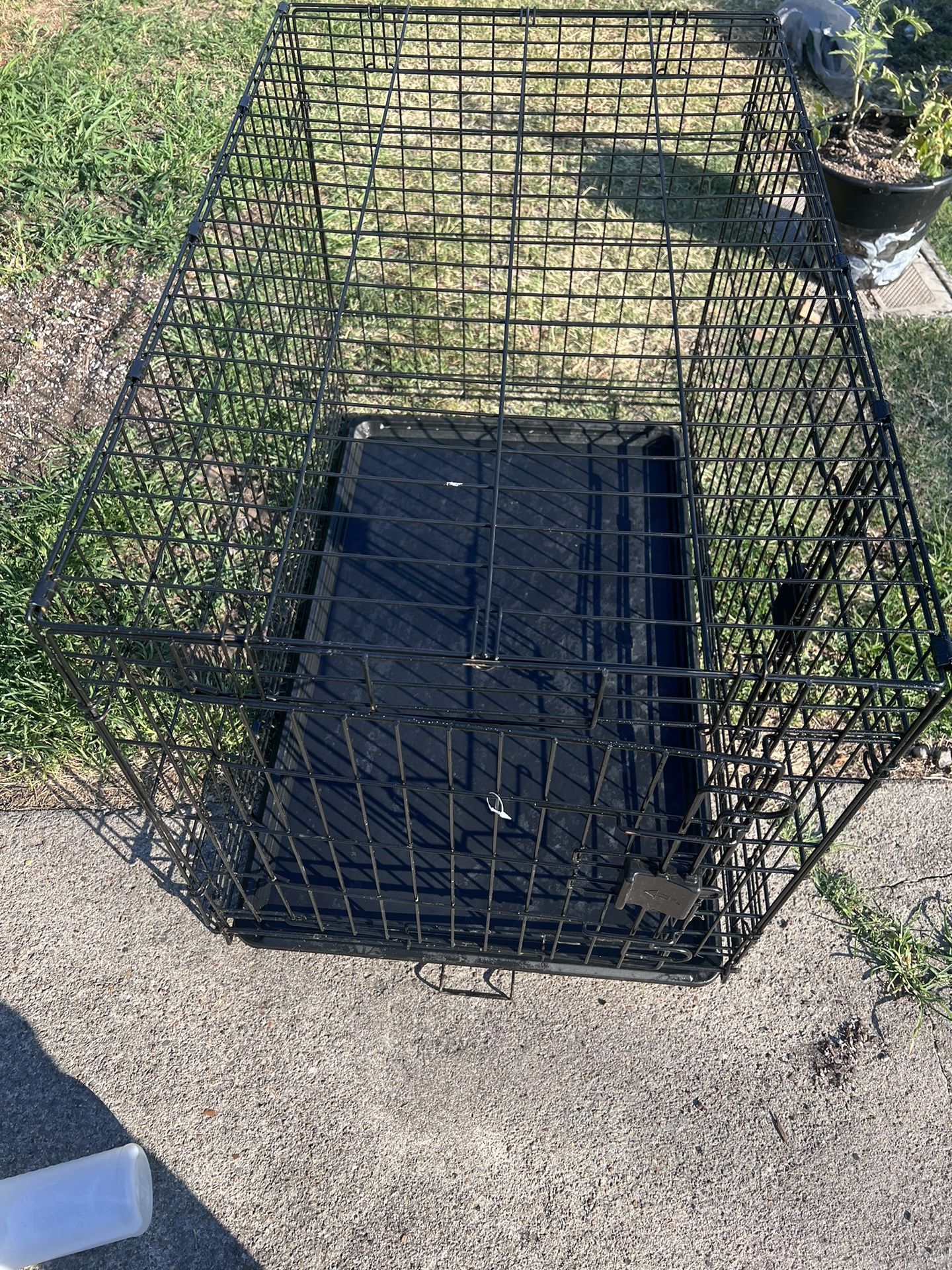 Dog Cage