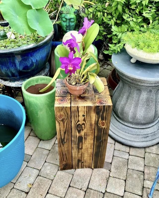 Pressure Treated Wood Plant Stand: 24”H x 12.5”W X 10.5”D