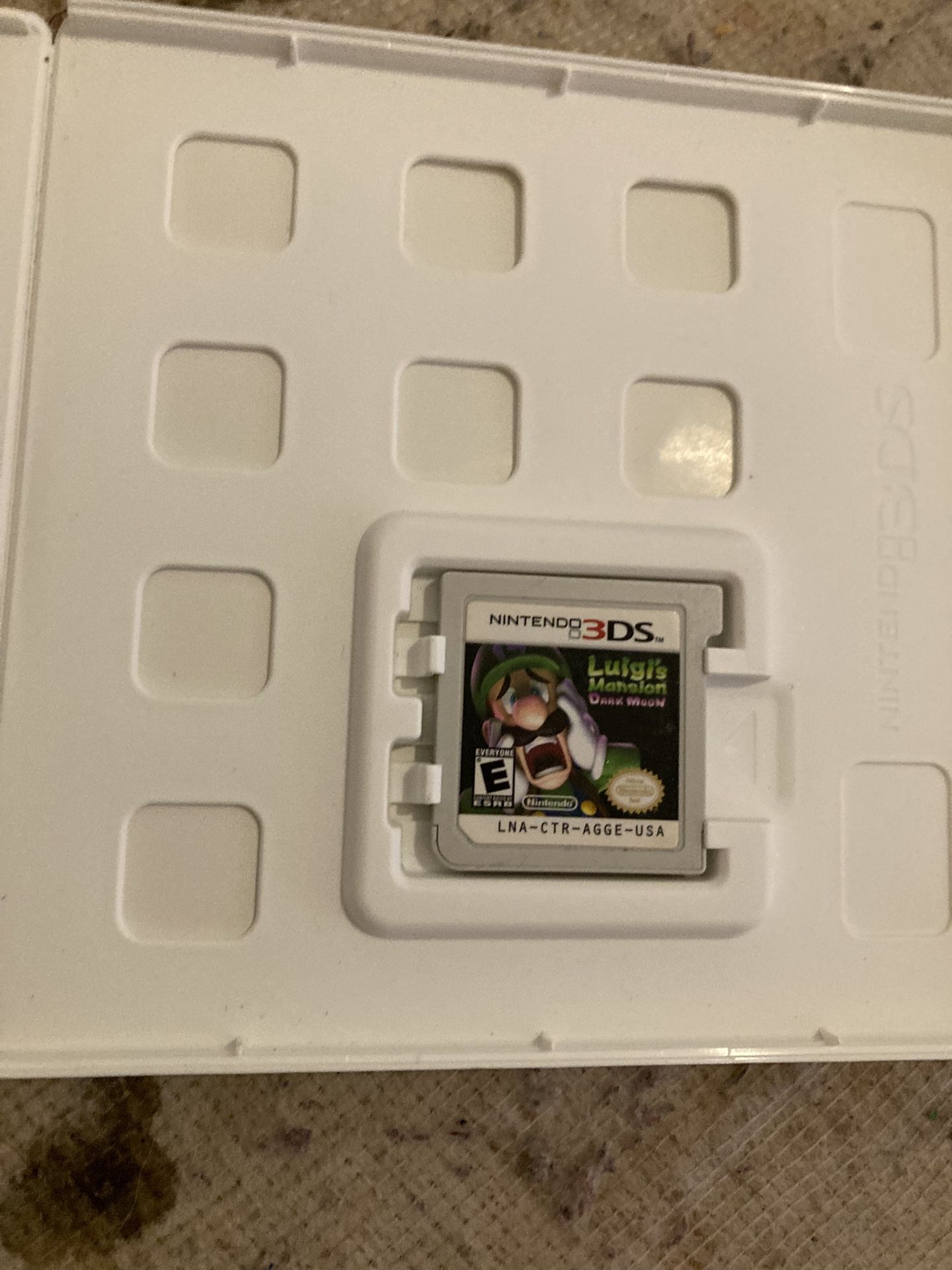 Luigi Mansion