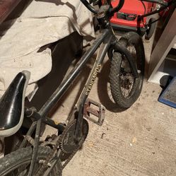 Standard 250 TRLS
