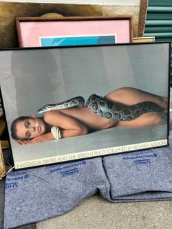 Rare 1981  Large Framed Famous Nastassja Kinski and The Serpent.