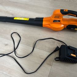 Snap Fresh Leaf Blower