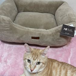 Pet Bed 