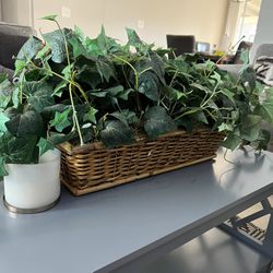 Basket Plant Decor