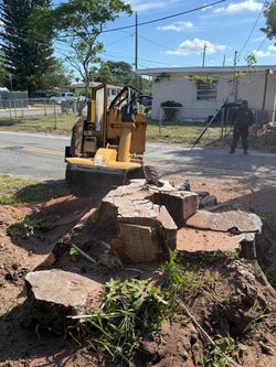 Stump grinding