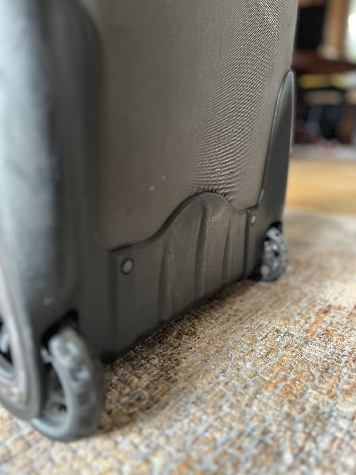 Patagonia Dry Travel Bag With Wheels