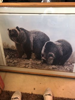 Beautiful picture of the Grizzlies