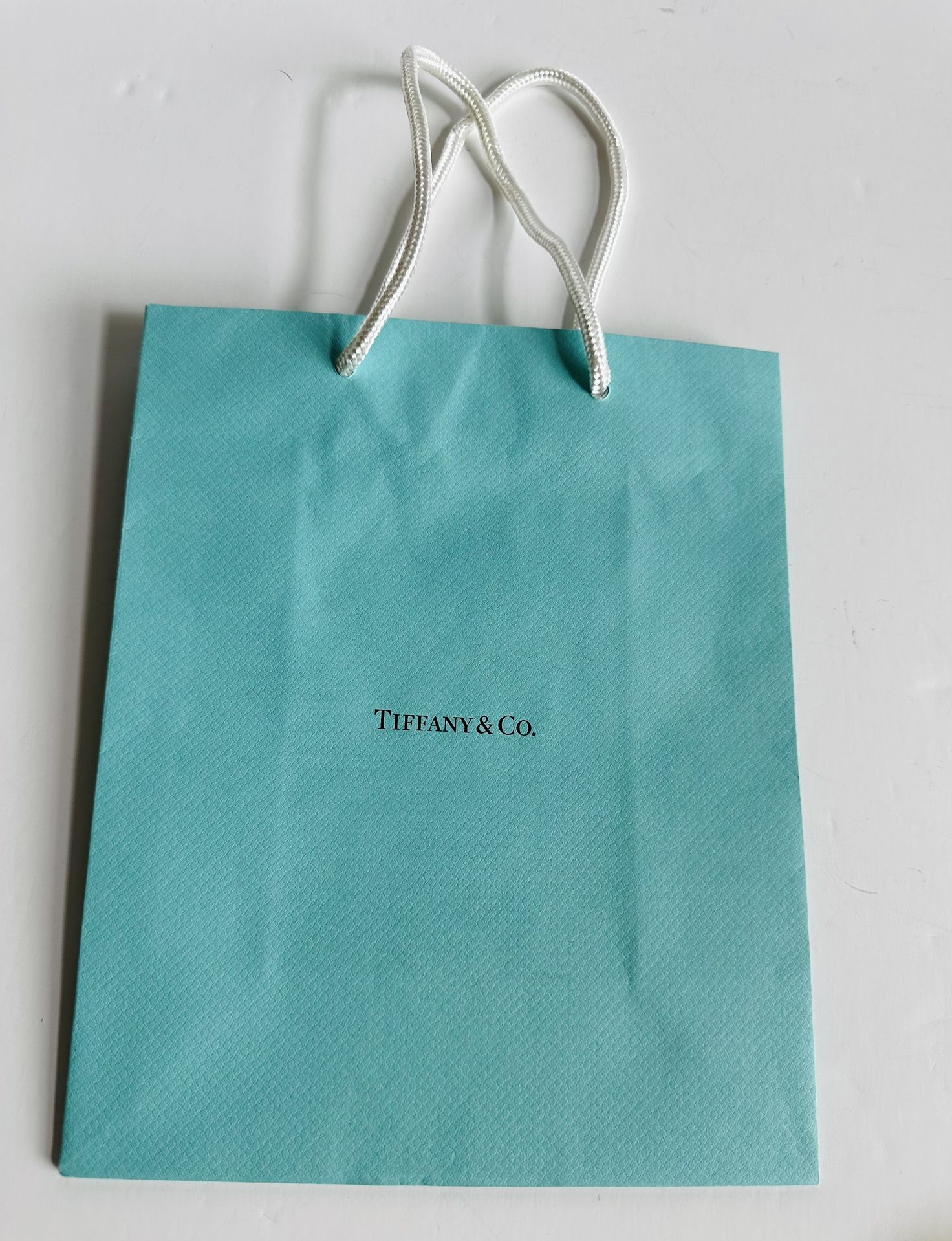 Authentic Tiffany & Co. Turquoise Blue Paper Shopping Bag Gift Bag Brand New