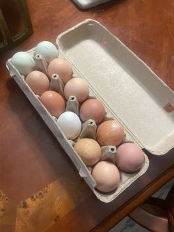 Eggs For Sale One Dozen $ 6 Price Is Firm