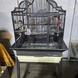 Bird Cage